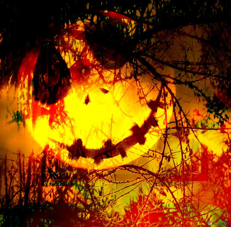 Spooky Smiling Jack-o`-Lantern Surrounded by Eerie Shadows №40471