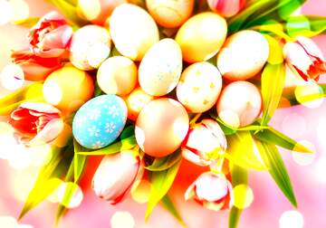 FX №269164 Colorful Easter Eggs Displayed with Vibrant Tulips and Spring Blooms