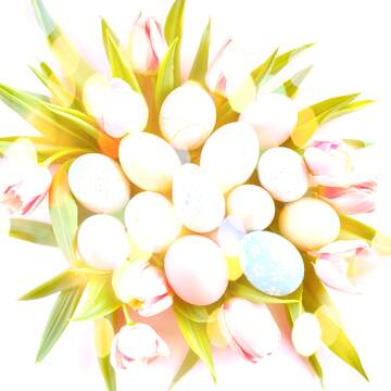 FX №269163 Colorful Easter Eggs Nestled Among Tulips for Festive Celebrations