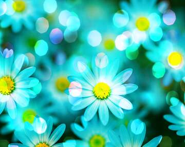 FX №269103 Enchanting Aqua Daisies: A Luminous Floral Fantasy