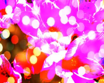 FX №269121 Vibrant Abstract Floral Burst with Colorful Bokeh Effects