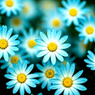 FX №269100 Vibrant Blue Daisies Blooming in a Colorful Garden