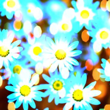 FX №269101 Vibrant Blue Daisies with Dreamy Bokeh Effect