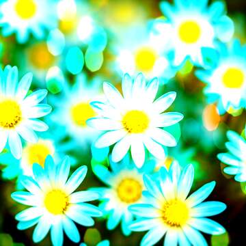 FX №269094 Vibrant Blue Daisies in a Dreamy Soft Focus Background Perfect for Spring Decor