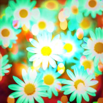 FX №269095 Vibrant Daisies in a Dreamy Colorful Background - Floral Abstract Art