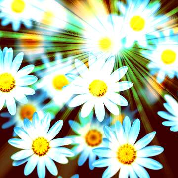 FX №269096 Vibrant Field of Daisies Illuminated by Radiant Light