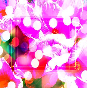 FX №269122 Vibrant Floral Abstraction: A Colorful Symphony of Petals and Lights