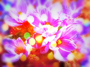 FX №269113 Vibrant Purple Flowers with Bokeh Effect - Nature`s Spring Beauty