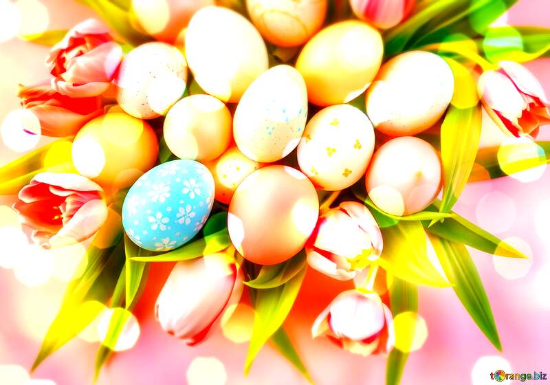 Colorful Easter Eggs Displayed with Vibrant Tulips and Spring Blooms №56912