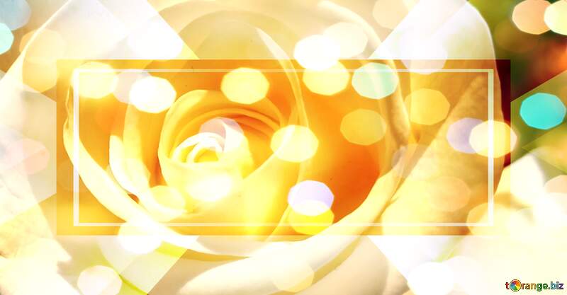 Radiant Yellow Rose with Dreamy Bokeh Effects for Floral Enthusiasts №56458