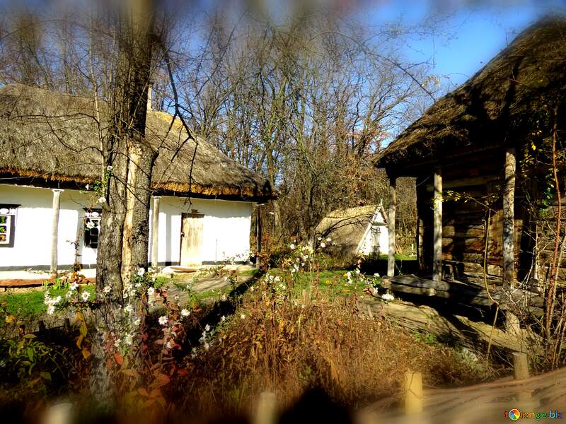 Charming Rural Landscape with Thatched Cottages Surrounded by Nature №28653