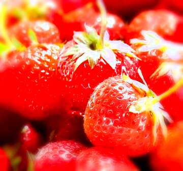 FX №28017 Strawberry blur frame background