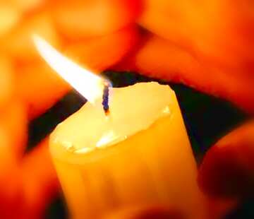 FX №3375 Image for profile picture Hands around the candles.