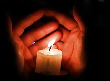 FX №3377 Image for profile picture Warm the hands off the candles.