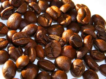 FX №3776 Grain coffee beans