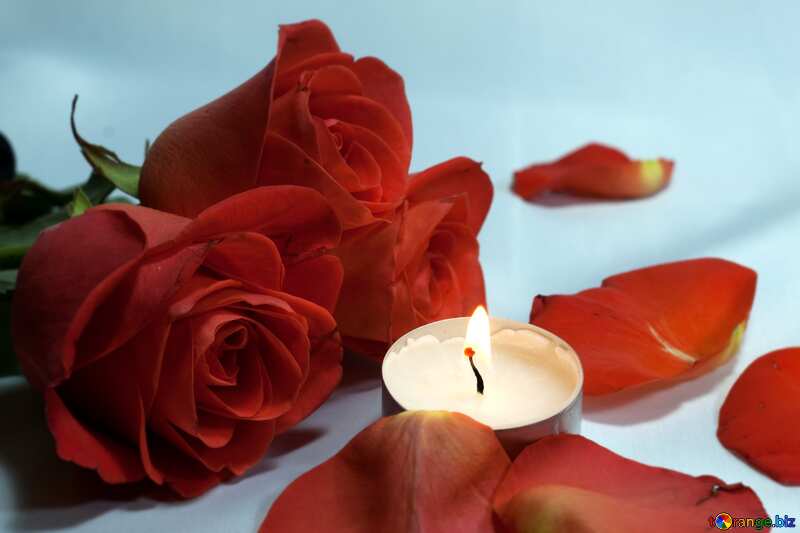 The best image. Romantic  night . bed , roses  and  , petals candles.. №7275