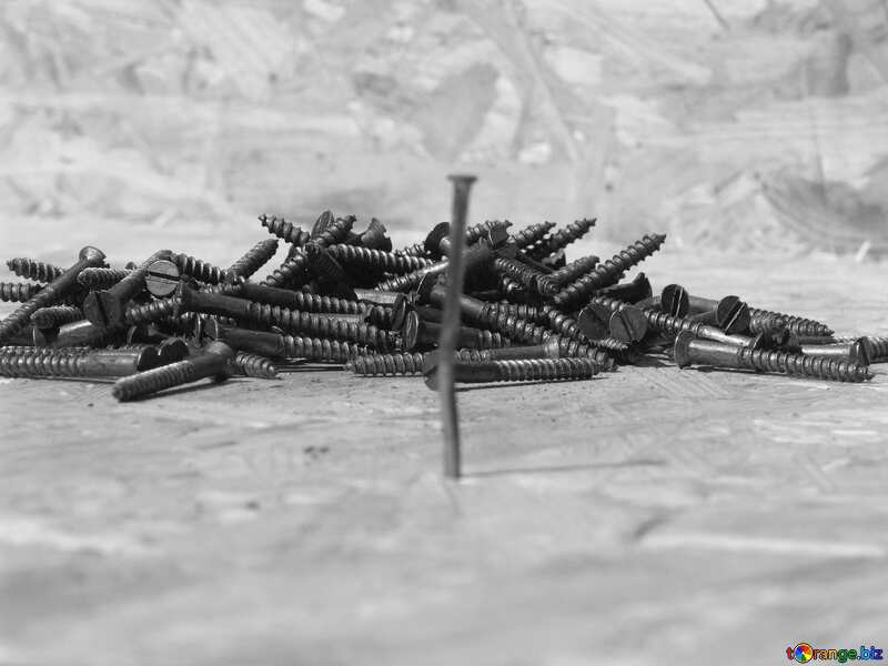 Monochrome.  nails or screws . №2592