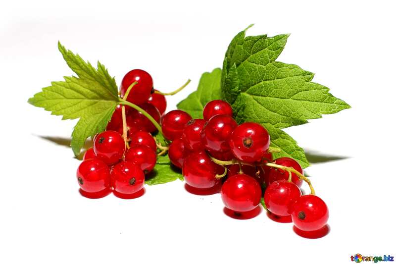 Red currant berry isolated on white №33226