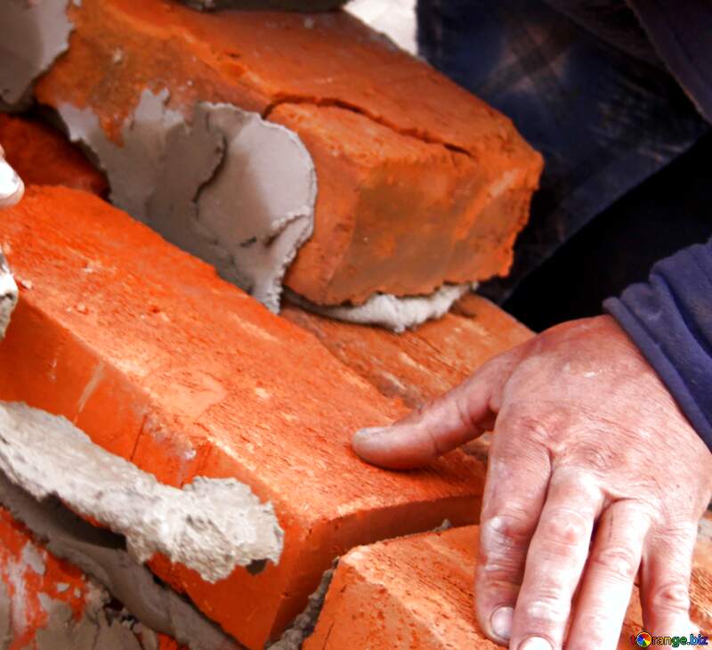 Builder Bricks №2891