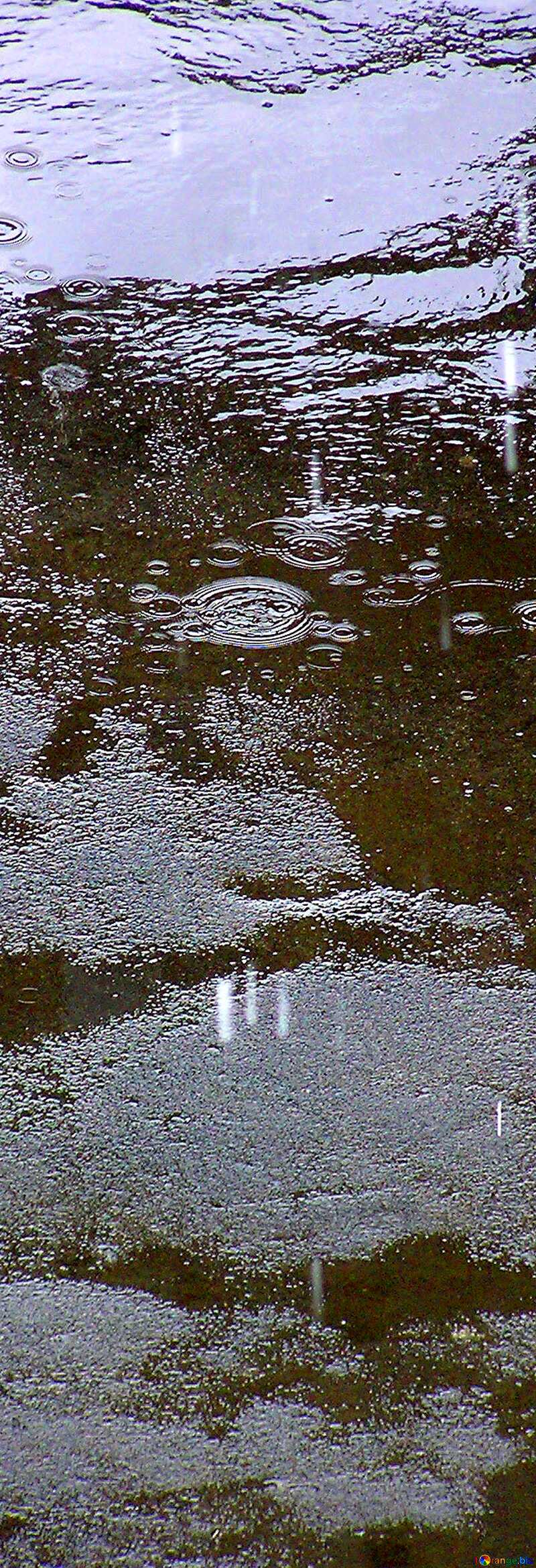 Puddle vertical background №290