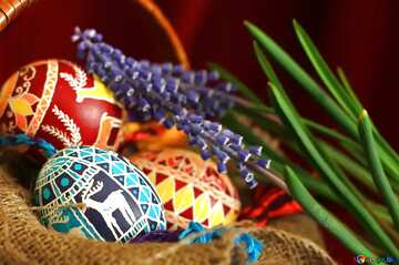 FX №31593 Colored easter eggs 