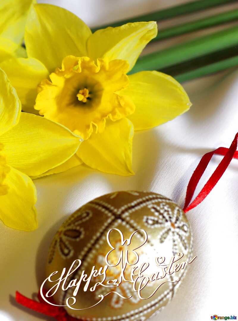 happy easter card Daffodils and Easter egg №29984
