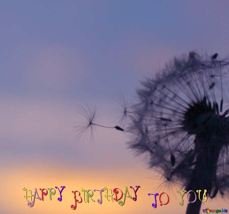 Dandelion seeds happy birthday card №32415