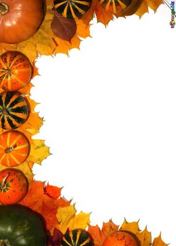 FX №34704 Autumn frame border pumpkins