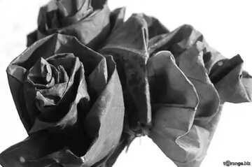 FX №35554 crafts flowers from leaves black and white