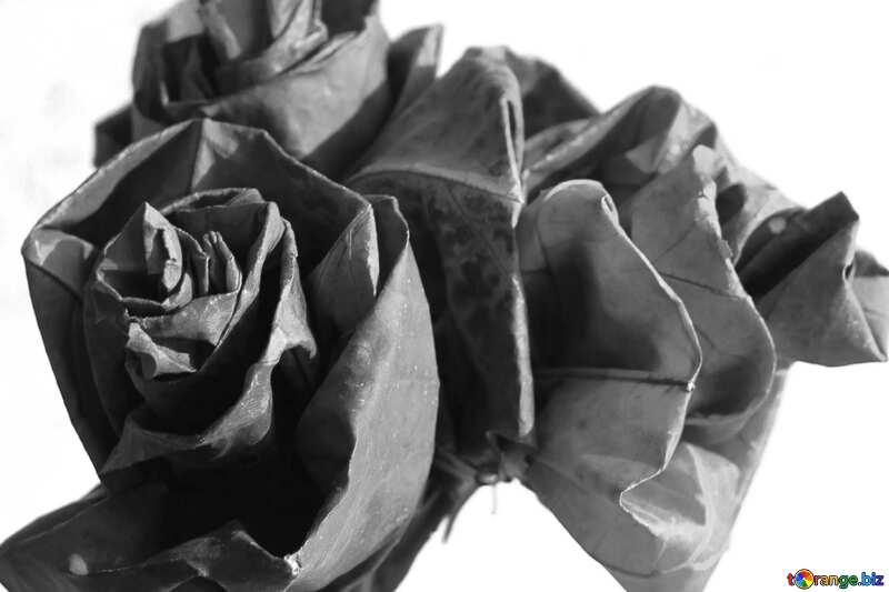 crafts flowers from leaves black and white №36072