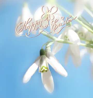 FX №36722 Early spring happy easter card