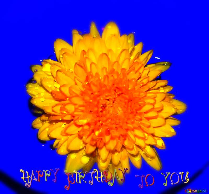 Flower water happy birthday card №37276
