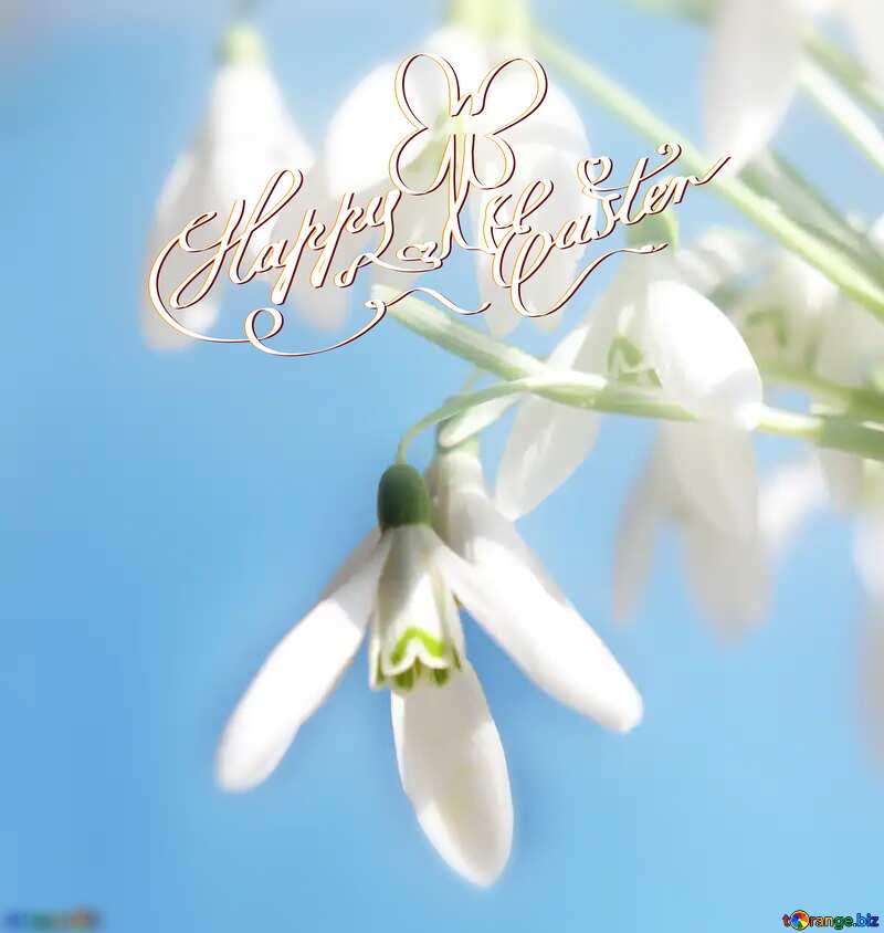 Early spring happy easter card №38344