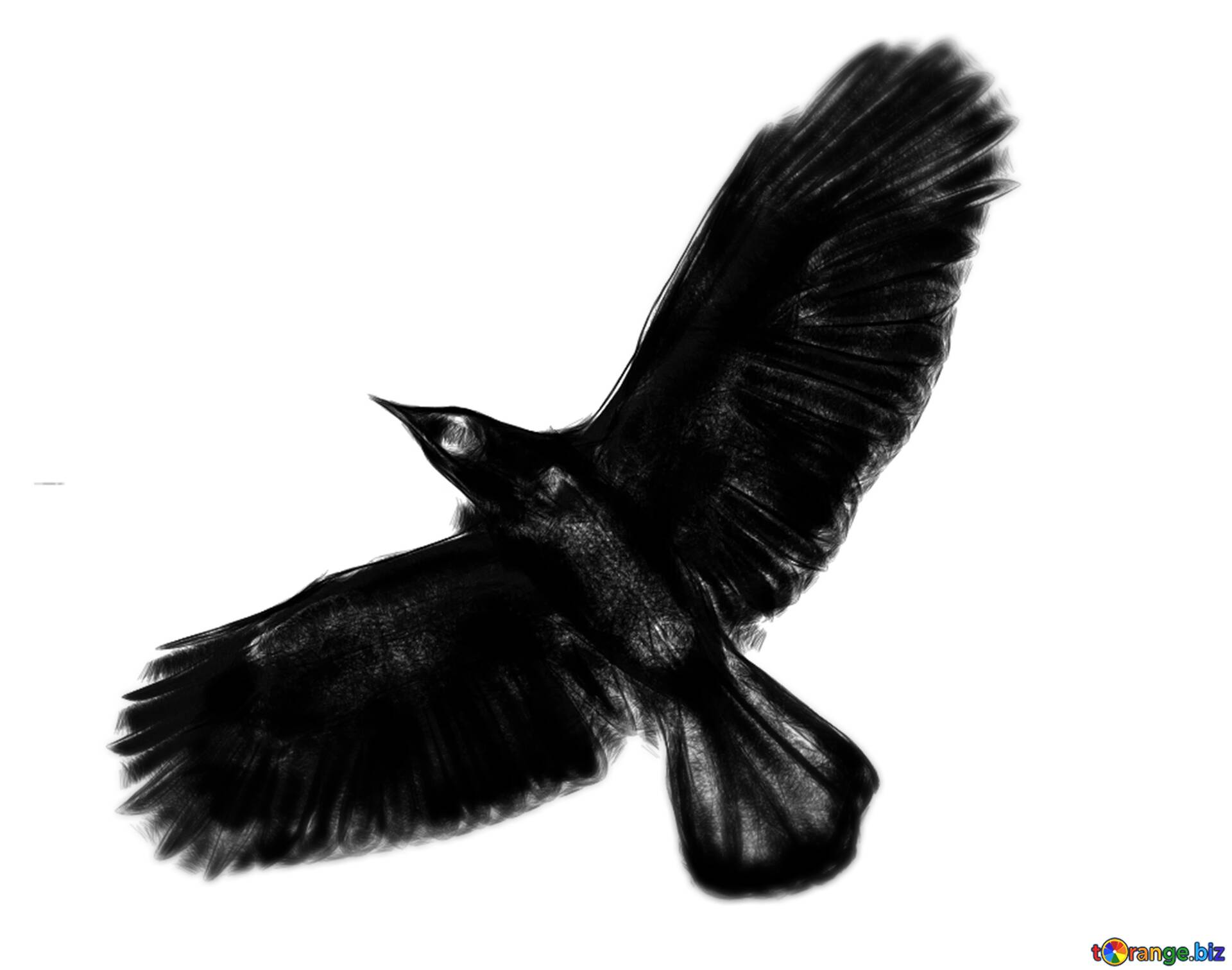 Flying Crow Flash by Rotten-Alice on DeviantArt