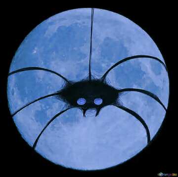FX №37525 Picture for Halloween blue spider on moon