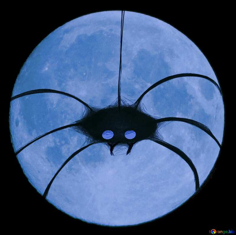 Picture for Halloween blue spider on moon №40477