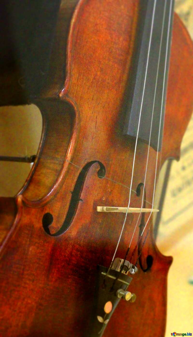 Violin background №44204