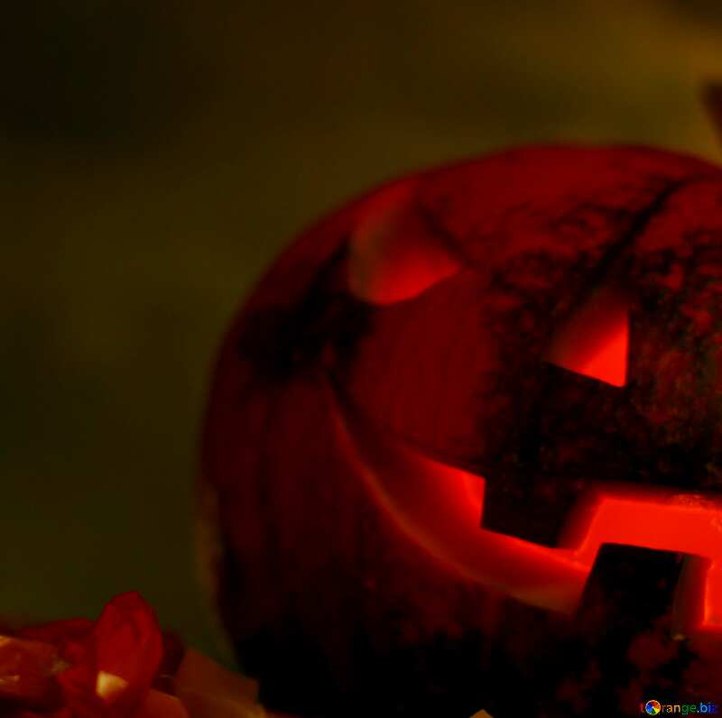 Halloween pumpkin red  background №46175
