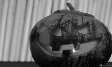 FX №4805 Halloween pumpkin black white