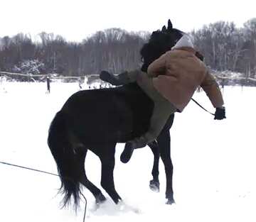 FX №4879 rider falls from horse