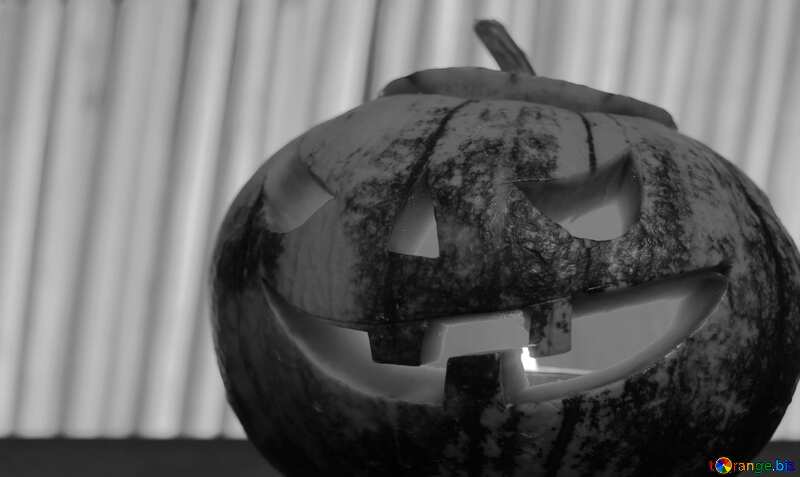 Halloween pumpkin black white №46197