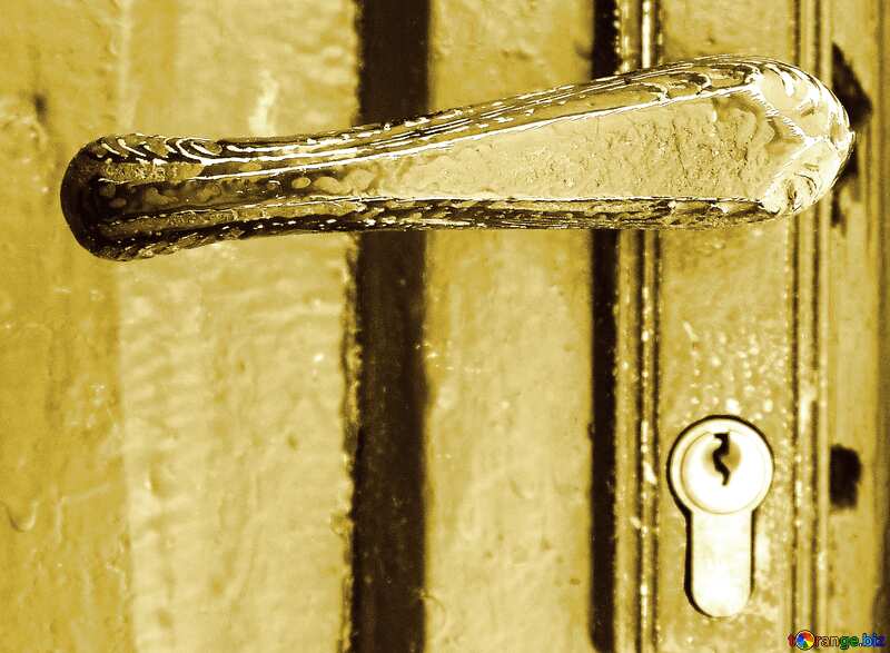 Monochrome. Door handle with lock.. №5397