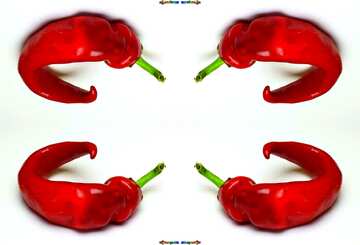 FX №41886 Chili red  pepper pattern