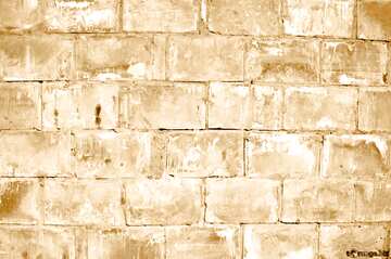 FX №45225 wall texture sepia