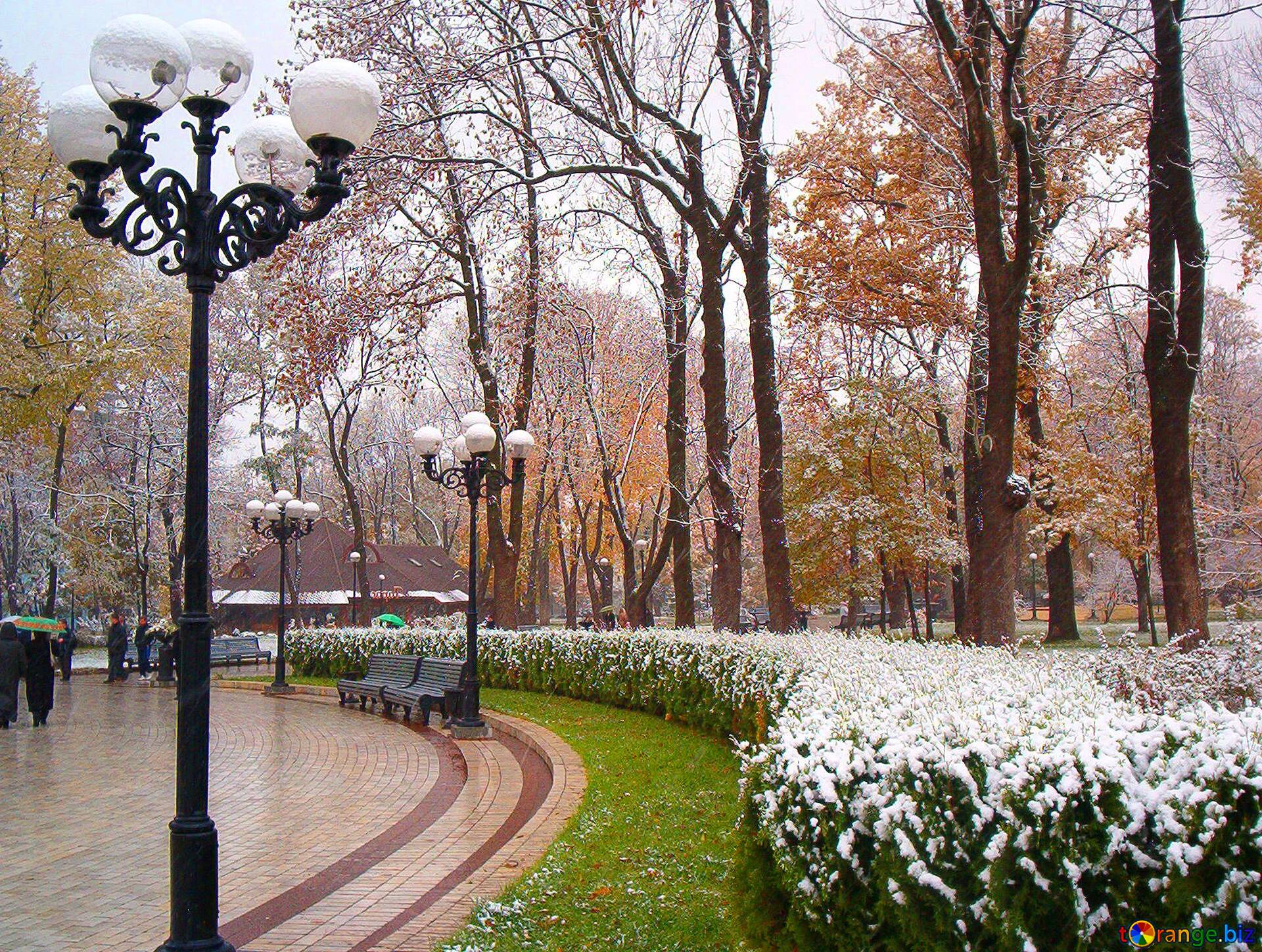 Зима в городском парке