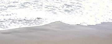FX №46586 Обложка. Пляжный песок.