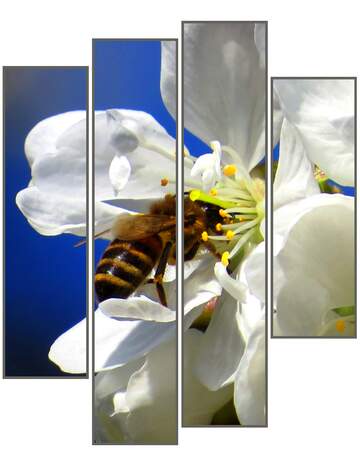 FX №49380 Bee fleur modular