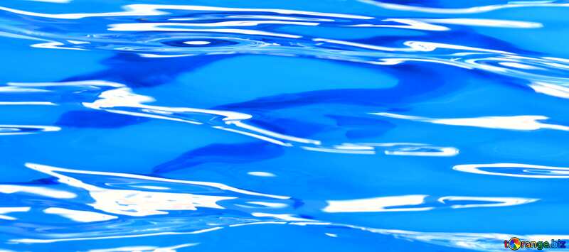 Обложка. Силуэт дельфина под водой. №25517