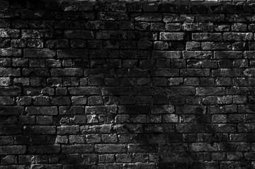 FX №5768 Monochrome. Texture. An old brick wall.