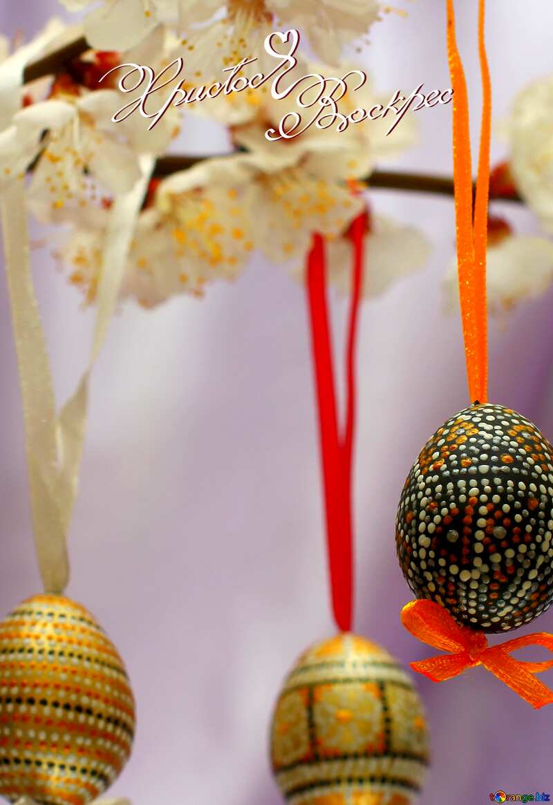 Easter eggs ornaments on branch №29820